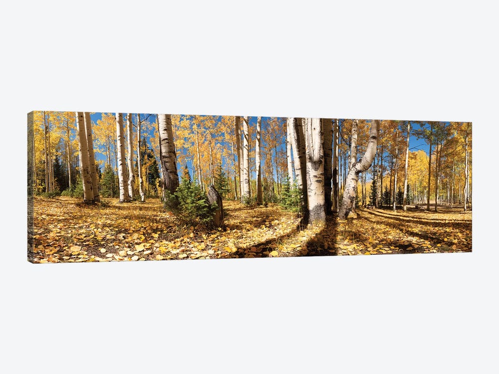 Crested Butte Colorado Fall Colors II by OLena Art 1-piece Canvas Art