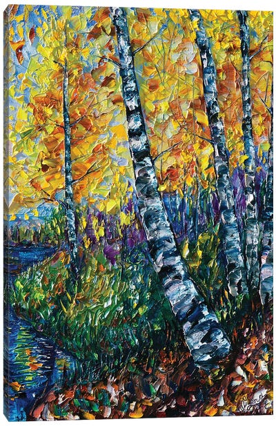 Colorado Landscape Painting Canvas Art Print - Aspen and Birch Trees