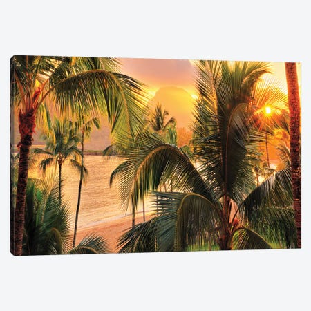  Kauai Tropical Island   Canvas Print #OLE132} by OLena Art Canvas Print