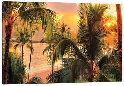  Kauai Tropical Island   Canvas Art Print - Kauai