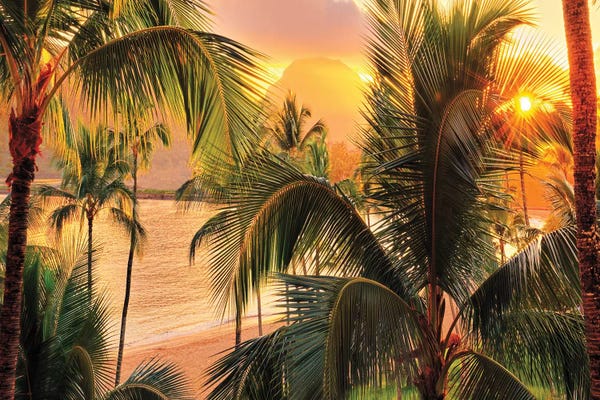 Hawaii:  Kauai Tropical Island   by OLena Art