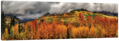 Autumn Scene At Crested Butte, Colorado Canvas Art Print - Countryside Art