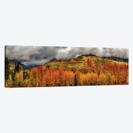 Autumn Scene At Crested Butte, Colorado Canvas Print #OLE149} by OLena Art Canvas Wall Art