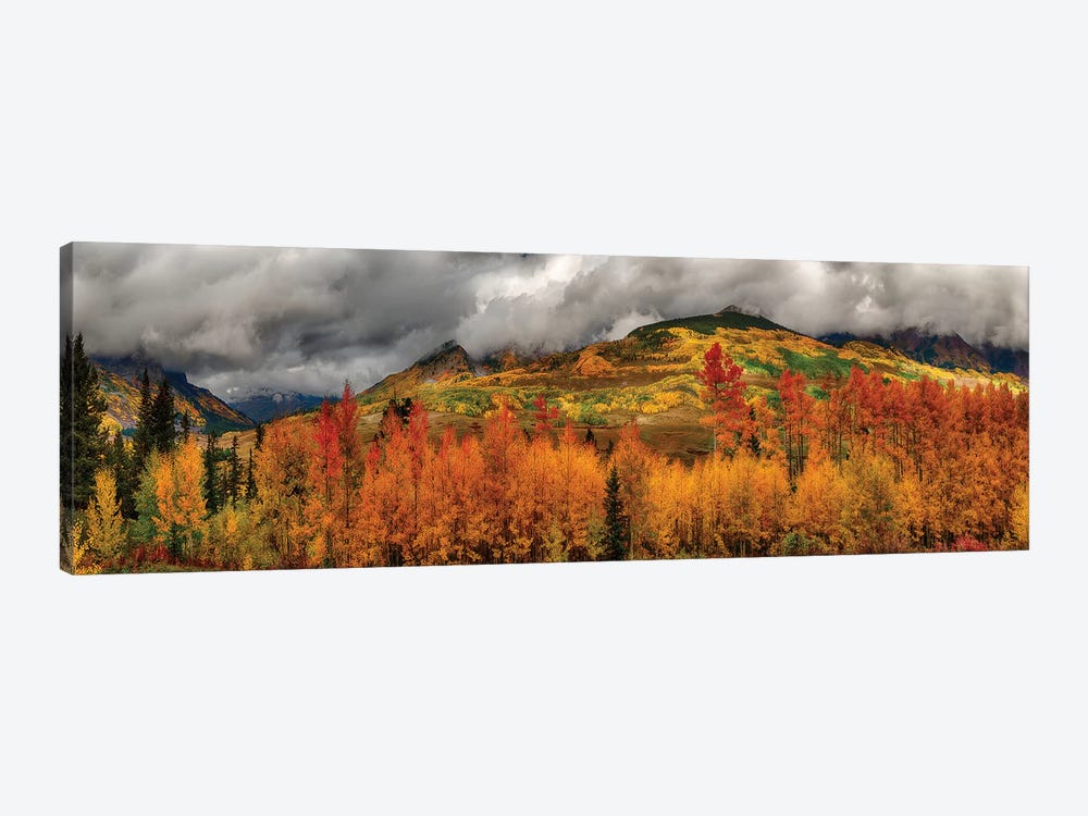 Autumn Scene At Crested Butte, Colorado by OLena Art 1-piece Art Print
