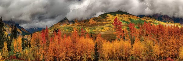 Refreshing Workspace: Autumn Scene At Crested Butte, Colorado by OLena Art