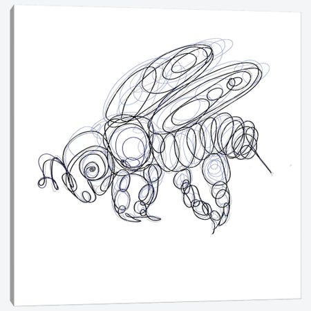 Honey Bee Line Drawing Canvas Print #OLE151} by OLena Art Canvas Print
