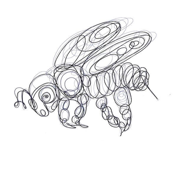 Bees: Honey Bee Line Drawing by OLena Art