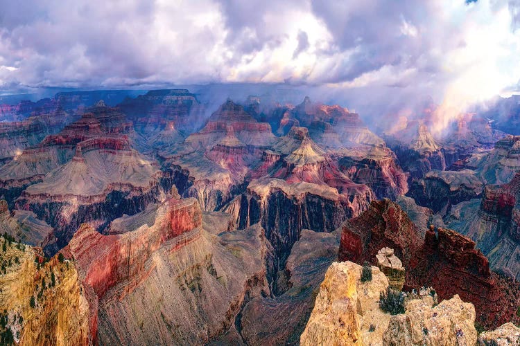 World Of Wonders by OLena Art wall art