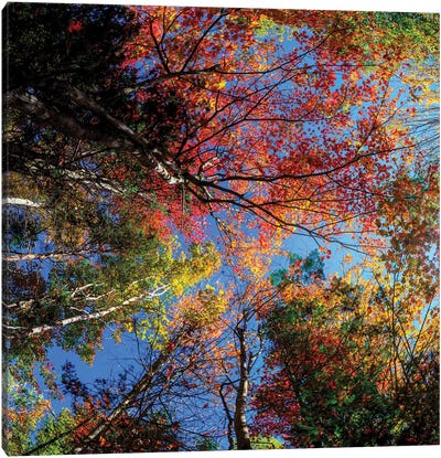 Colorful Autumn New Hampshire Canvas Art Print - New Hampshire Art