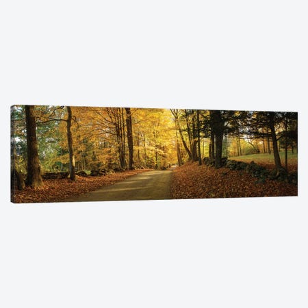  Countryside Road  Woodstock Vermont  Canvas Print #OLE163} by OLena Art Canvas Artwork