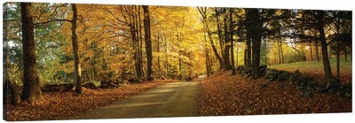  Countryside Road  Woodstock Vermont  Canvas Art Print