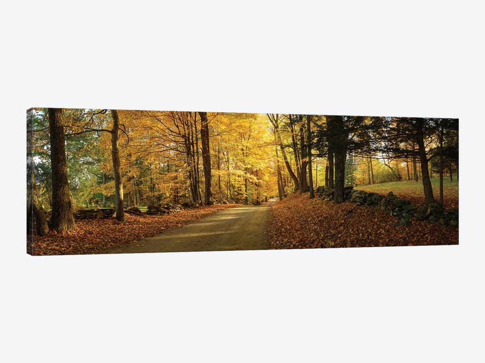  Countryside Road  Woodstock Vermont  by OLena Art 1-piece Art Print