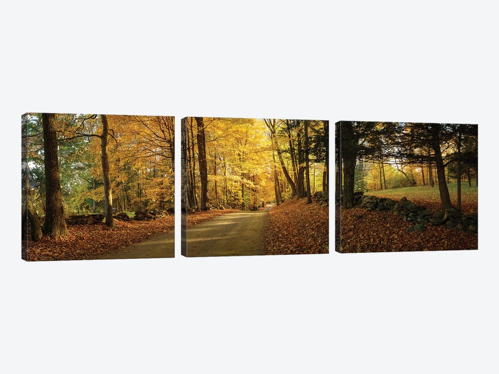  Countryside Road  Woodstock Vermont  by OLena Art 3-piece Canvas Art Print