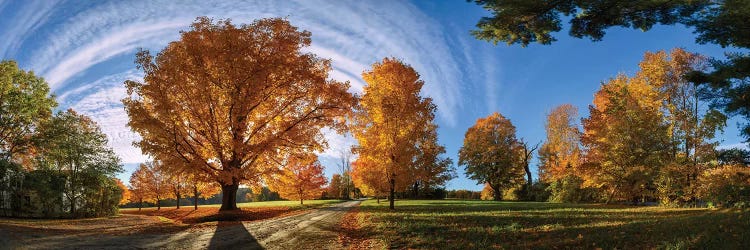 At Countryside Rural Road New England