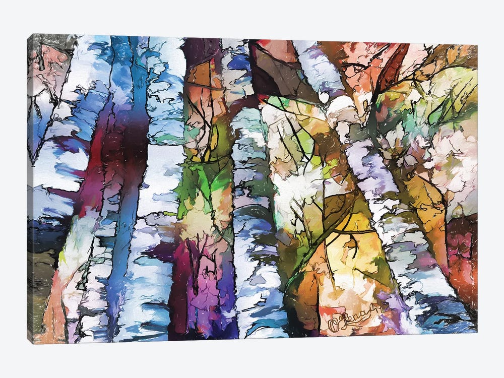 White Aspen And Birch Trees by OLena Art 1-piece Canvas Print
