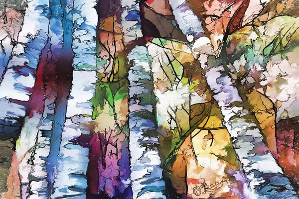 OLena Art: White Aspen And Birch Trees by OLena Art