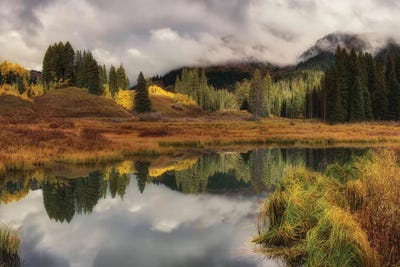 Transition Of The Seasons In Rocky Mountain by OLena Art framed wall art