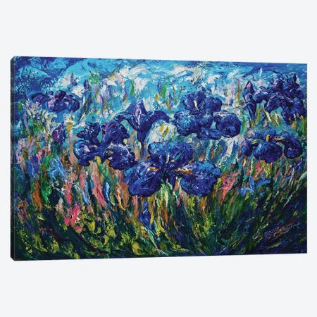 Countryside Irises Canvas Print #OLE16} by OLena Art Canvas Art Print