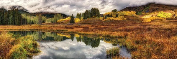 OLena Art: Transition Of The Seasons In Rocky Mountains Colorado by OLena Art