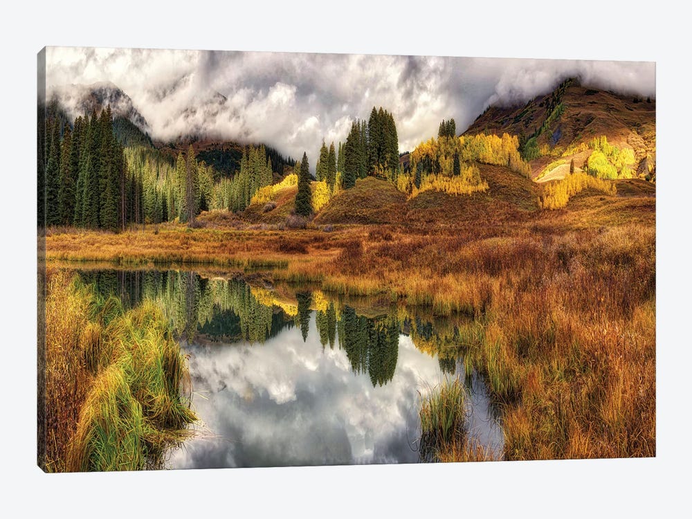 Transition Of The Seasons In Rocky Mountains by OLena Art 1-piece Canvas Print