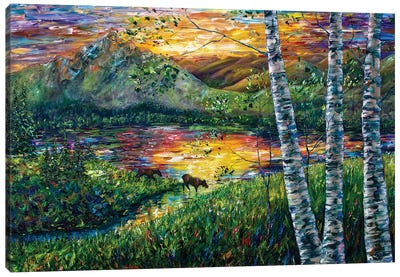 Sleeping Meadow - Colorado Moose Crossing Canvas Art Print - Birch Tree Art