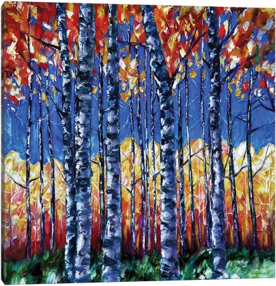 Aspen Trees Autumn Canopy Canvas Art Print - Aspen Tree Art