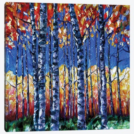 Aspen Trees Autumn Canopy Canvas Print #OLE220} by OLena Art Canvas Print