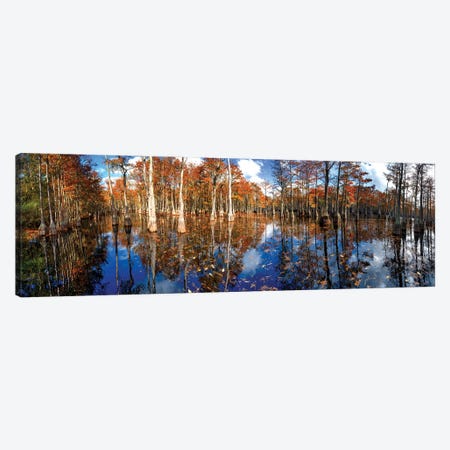 Cypress Swamp Panorama In George L. Smith State Park, Georgia Canvas Print #OLE226} by OLena Art Canvas Wall Art