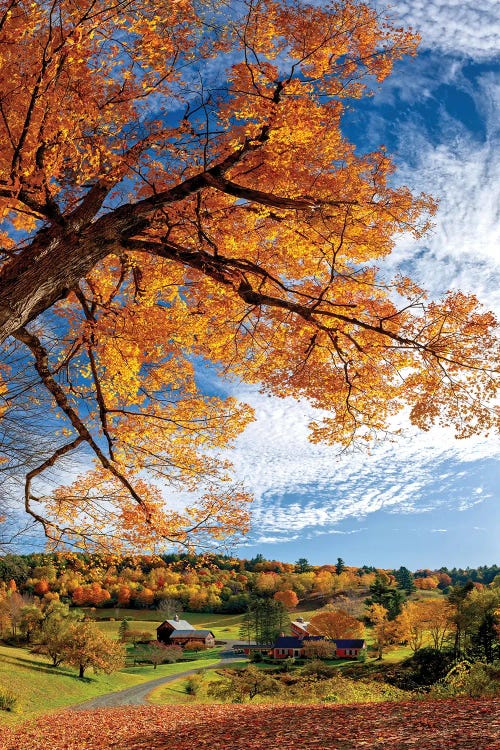 Sleepy Hollow Farm Vermont Autumn