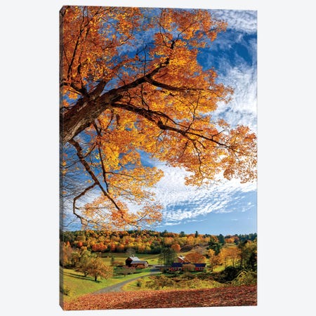 Sleepy Hollow Farm Vermont Autumn Canvas Print #OLE235} by OLena Art Art Print