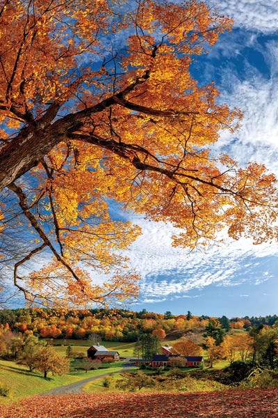 OLena Art: Sleepy Hollow Farm Vermont Autumn by OLena Art