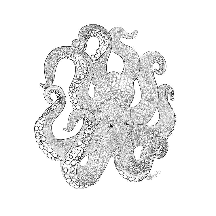 Octopus Of The Sea Line Drawing