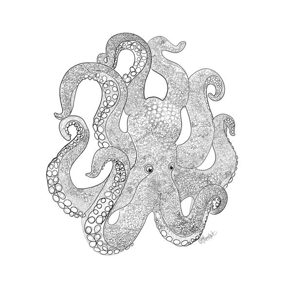 Octopus Of The Sea Line Drawing