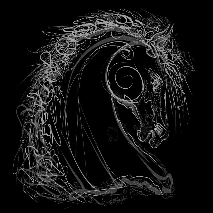 White Stallion Line Drawing Black Background