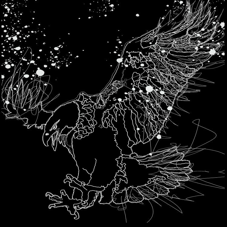 Lord Of The Sky White Eagle Design Line Drawing