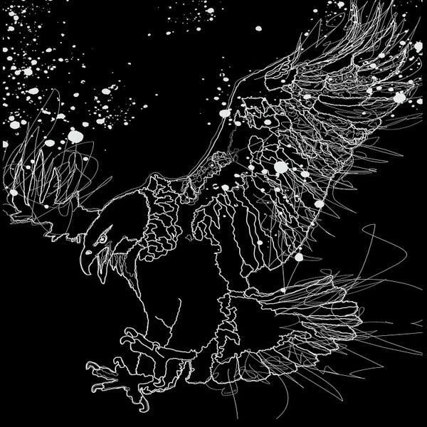 OLena Art: Lord Of The Sky White Eagle Design Line Drawing by OLena Art
