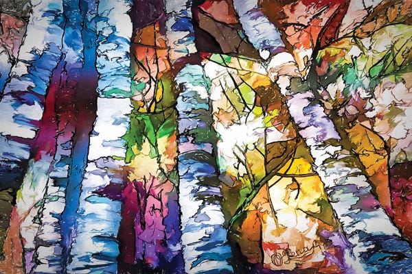 Aspen Trees | Birch Trees: White Aspen And Birch Trees Contemporary Artwork by OLena Art