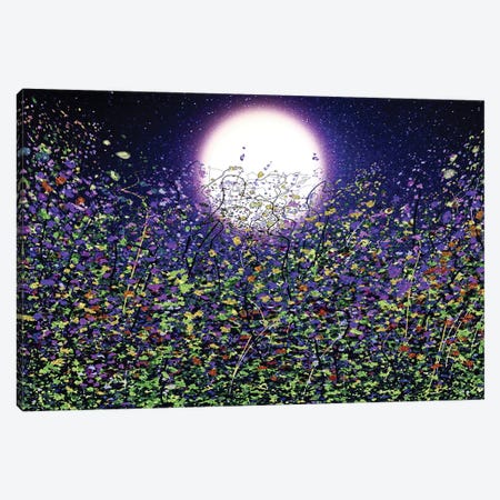Moonlight Shadows On Meadow Flowers Canvas Print #OLE277} by OLena Art Canvas Print