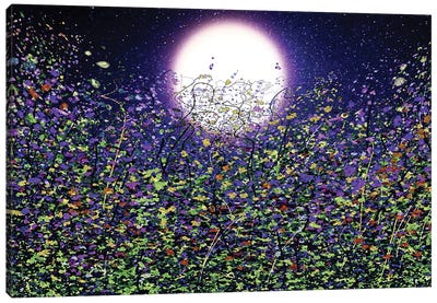 Moonlight Shadows On Meadow Flowers Canvas Art Print - Full Moon Art