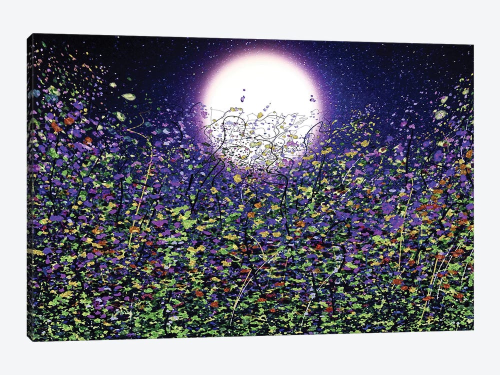Moonlight Shadows On Meadow Flowers by OLena Art 1-piece Canvas Wall Art
