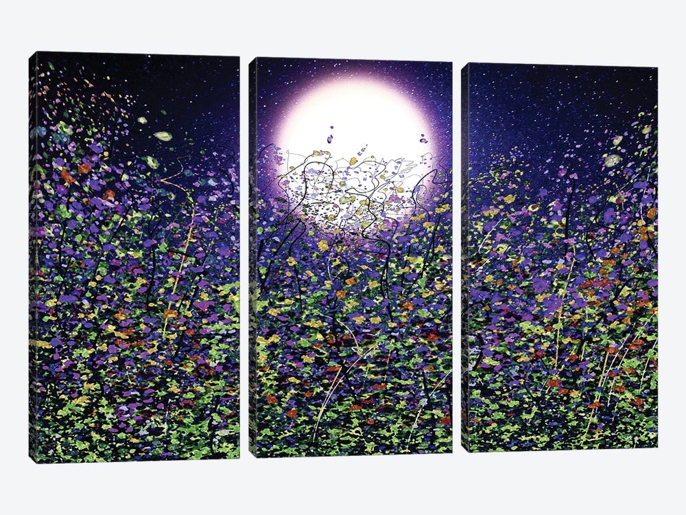 Moonlight Shadows On Meadow Flowers by OLena Art 3-piece Canvas Wall Art