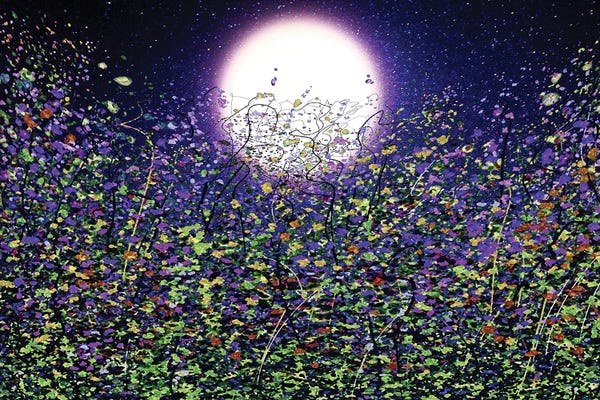Moonlight Shadows On Meadow Flowers