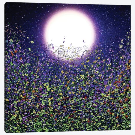 Moonlight Shadows On Earth With Flowers Canvas Print #OLE278} by OLena Art Canvas Art
