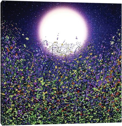 Moonlight Shadows On Earth With Flowers Canvas Art Print - Full Moon Art