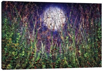 Moonlight Over Honey Meadows Canvas Art Print - Full Moon Art