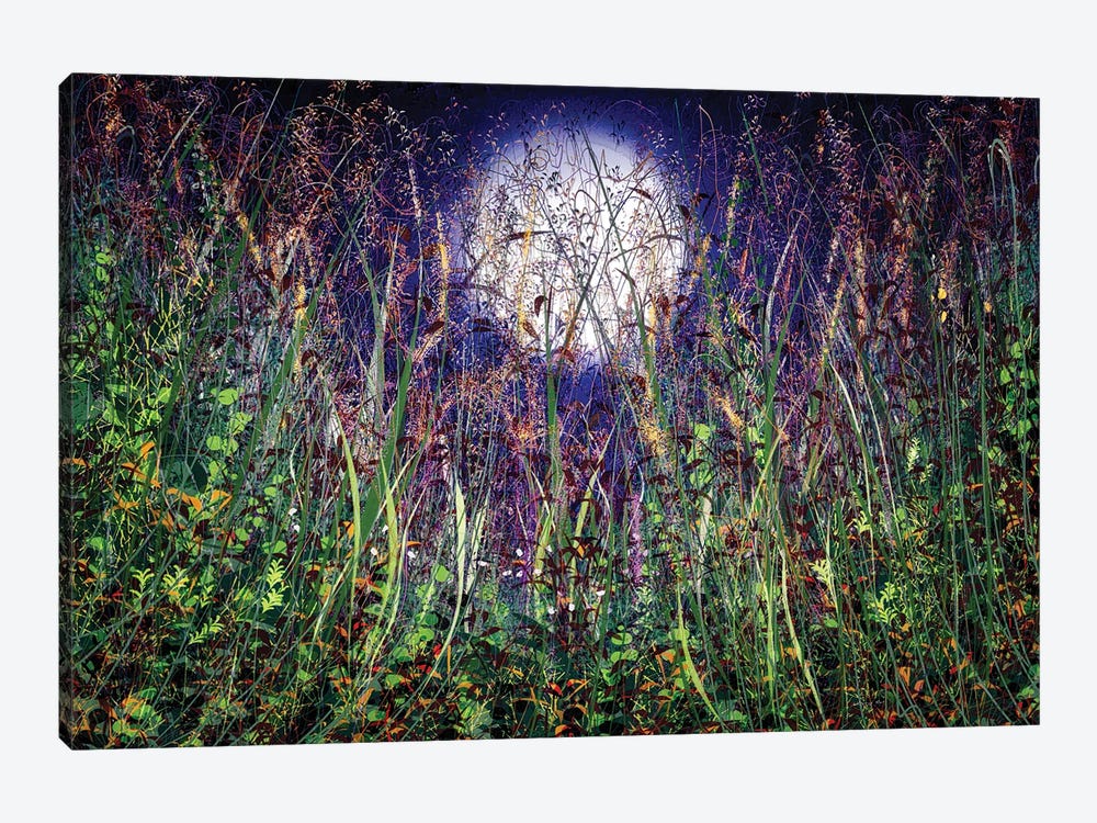Moonlight Over Honey Meadows by OLena Art 1-piece Canvas Wall Art