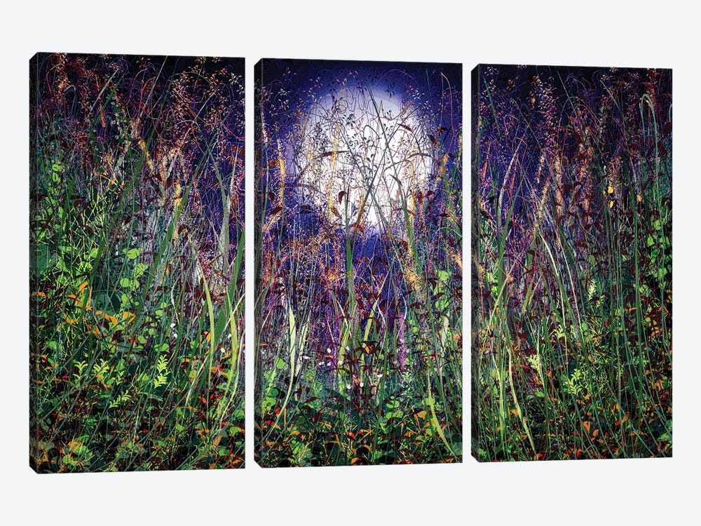 Moonlight Over Honey Meadows by OLena Art 3-piece Canvas Art