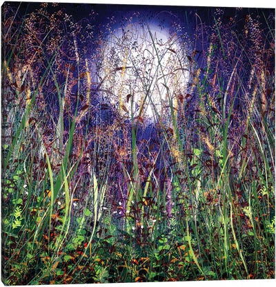 Moonlight Shadows Over Honey Meadow Flowers Canvas Art Print - Full Moon Art