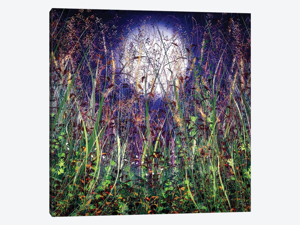 Moonlight Shadows Over Honey Meadow Flowers by OLena Art 1-piece Canvas Wall Art