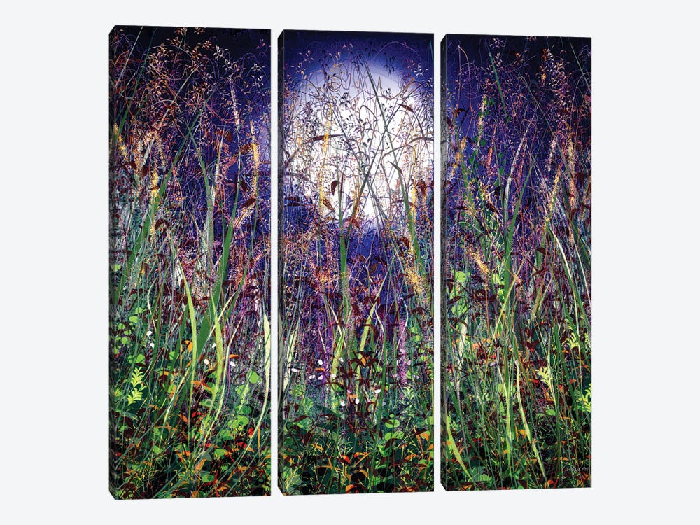 Moonlight Shadows Over Honey Meadow Flowers by OLena Art 3-piece Canvas Art
